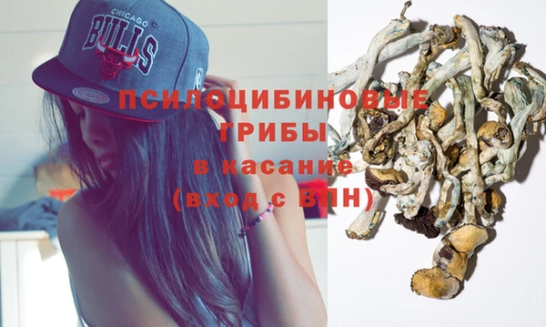 молекула духа Алзамай