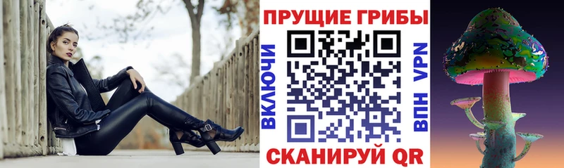 Псилоцибиновые грибы Psilocybe  сколько стоит  Ярцево 